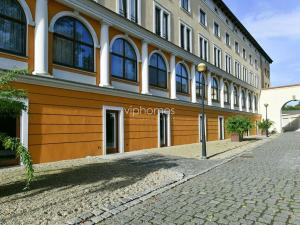 Pronájem bytu 1+kk, Praha - Bubeneč, Mlýnská, 53 m2