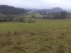 Dražba pole, Lovečkovice, 21494 m2