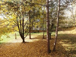 Pronájem bytu 2+1, Brno, Kvapilova, 56 m2