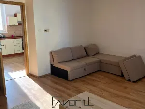 Pronájem bytu 1+1, Ostrava, Korunní, 53 m2