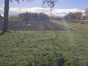 Prodej sadu/vinice, Blučina, 2677 m2