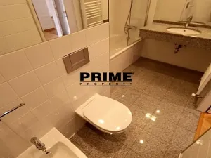 Pronájem bytu 4+kk, Praha - Vinohrady, Na Švihance, 140 m2