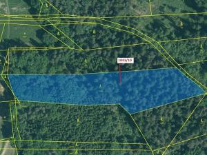 Dražba lesa, Stehlovice, 11078 m2