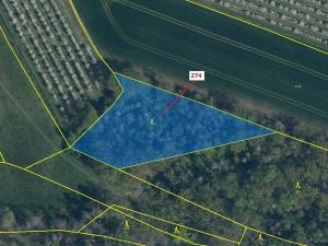 Dražba lesa, Jeviněves, 4557 m2