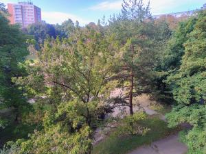 Prodej bytu 3+1, Praha - Kobylisy, Paláskova, 65 m2