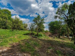 Prodej pozemku pro bydlení, Veliny, 3712 m2