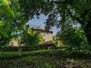 Prodej pozemku pro bydlení, Choceň, Tocháčkův kopec, 1926 m2