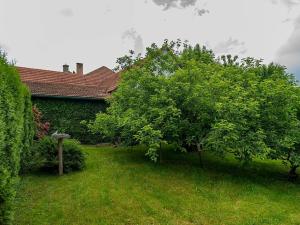 Prodej zemědělské usedlosti, Nová Sídla, 327 m2