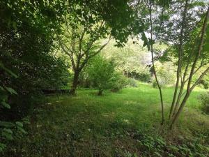 Prodej pozemku pro bydlení, Vysoké Mýto, Vinice, 1447 m2