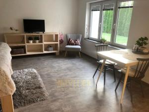 Pronájem bytu 1+kk, Teplice, Rokle, 32 m2