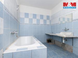 Prodej obchodního prostoru, Jedousov, 168 m2