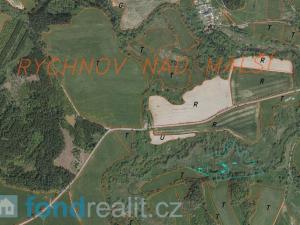 Prodej pozemku, Dolní Dvořiště - Rychnov nad Malší, 24285 m2