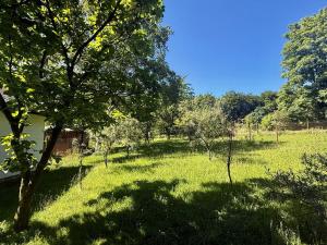 Prodej chaty, Orlová - Město, Dr. M. Tyrše, 28 m2