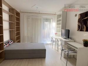 Pronájem bytu 1+kk, Brno, Rakovecká, 22 m2