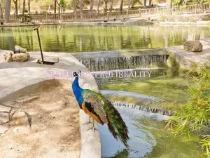 Prodej bytu 2+kk, Guardamar del Segura, Španělsko, 50 m2