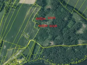 Prodej lesa, Nová Bystřice, 2850 m2