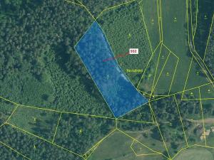 Dražba lesa, Rabí, 7006 m2