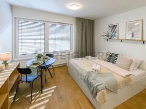 Pronájem bytu 1+kk, Brno, Cejl, 30 m2