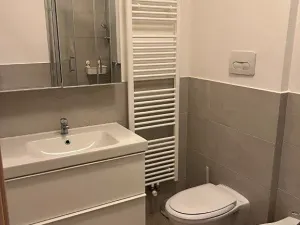 Pronájem bytu 2+kk, Praha - Nusle, Mečislavova, 50 m2