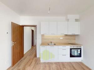 Pronájem bytu 1+kk, Olomouc, Camilla Sitteho, 27 m2