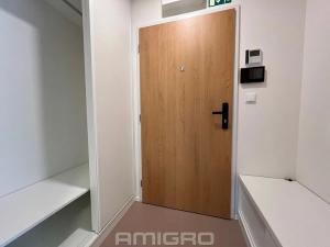 Pronájem bytu 1+kk, Brno, Peroutková, 25 m2