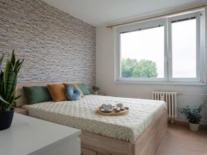 Prodej bytu 3+1, Nová Paka, K Hájku, 71 m2