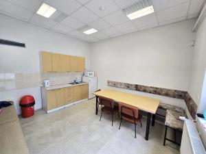 Pronájem výrobních prostor, Brno, Franzova, 785 m2