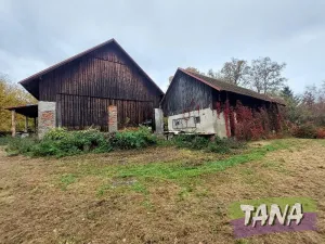 Prodej zemědělské usedlosti, Bílá, 300 m2