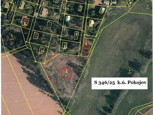 Prodej lesa, Pokojov, 3182 m2