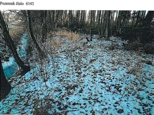 Prodej lesa, Tis, 906 m2