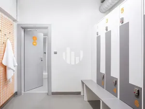 Pronájem kanceláře, Praha - Nové Město, Vladislavova, 974 m2