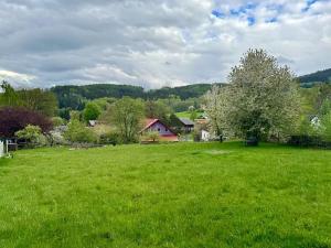 Prodej pozemku pro bydlení, Chudenín, 1662 m2