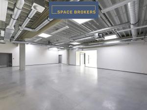 Pronájem obchodního prostoru, Praha - Horní Počernice, K Bílému vrchu, 4500 m2