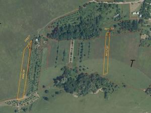 Dražba louky, Vlachovice, 6246 m2