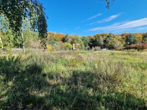 Prodej pozemku pro bydlení, Černé Voděrady, 1775 m2