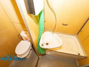 Prodej bytu 1+1, Kostelec nad Orlicí, Proškova, 50 m2