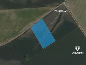Prodej podílu pole, Chotětov, 2650 m2
