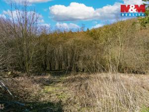 Prodej pozemku, Jílové u Prahy - Luka pod Medníkem, 1161 m2