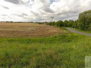 Prodej pozemku pro bydlení, Čížkovice, Růžová, 2480 m2