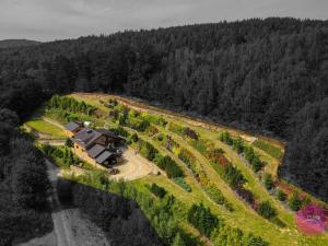 Prodej chalupy, Oskava, 247 m2