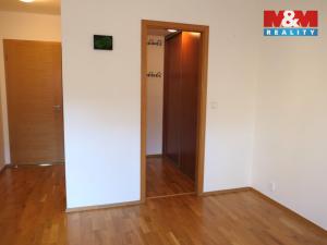 Pronájem bytu 4+kk, Praha - Michle, Tigridova, 119 m2