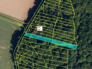 Dražba lesa, Hradčany-Kobeřice, 975 m2