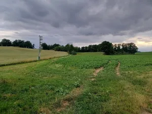 Dražba pozemku, Okna, 5544 m2