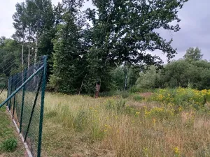 Dražba pozemku, Okna, 5544 m2