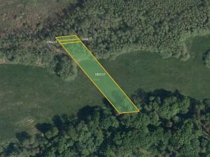 Prodej louky, Lázně Bohdaneč, 4849 m2