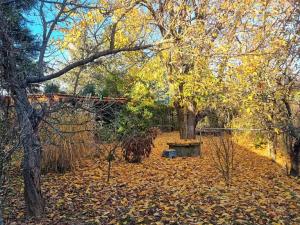 Prodej chaty, Hrušovany u Brna, 95 m2