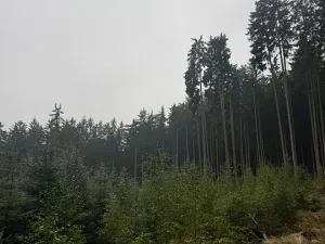 Prodej podílu pole, Nicov, 2230 m2