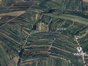 Prodej podílu pole, Mutěnice, 604 m2