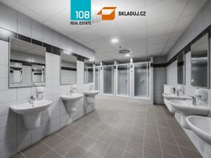 Pronájem skladu, Hrušky, 18000 m2