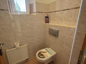 Pronájem rodinného domu, Ostrava, Křížkovského, 300 m2